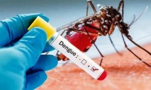 Januari Hingga Oktober 2023, Sebanyak 127 Warga Palopo Terjangkit Demam Berdarah