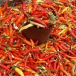 Makin Pedas, Harga Cabai Rawit di Palopo Tembus Rp 80 Ribu Per Kilogram