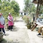 TP PKK Kabupaten Asahan Revitalisasi Taman Toga Rambate Rata Raya