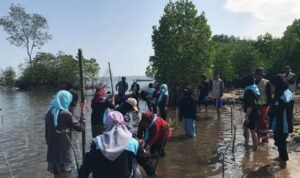 Lestarikan Ekosistem Mangrove, Mahasiswa UNCP Tanam 1000 Bibit di Pantai Tirowali Luwu