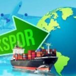Syarat dan Prosedur Mendapatkan Sertifikat Phytosanitary untuk Ekspor ke Australia, Eropa, dan Amerika