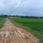 Siswa SMKN 1 Nurussalam Harus Melintasi Jalan Berlumpur Seperti Kubangan Kerbau