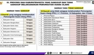 Pemprov Sulsel Belum Bahas Bantuan Anggaran untuk PSU Palopo
