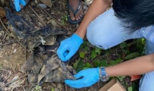 Penemuan Kerangka di Wajo Sulsel, Polisi Tunggu Hasil Forensik