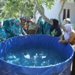 TP PKK Asahan Monitoring Lomba Hatinya PKK Tingkat Sumut di Desa Banjar