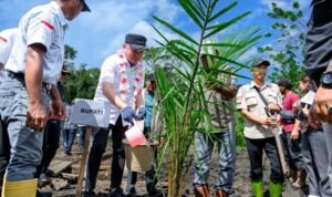 Tonggak Sejarah Baru di Tanah Wana: PT Cipta Agro Sakti Tanam Sawit Perdana di Menyo’e