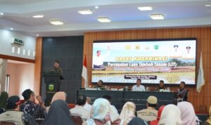 Kejar IP 300, Pemkab Luwu Butuh Dukungan Pusat untuk Rehabilitasi Irigasi, Bantuan Benih, dan Alsintan