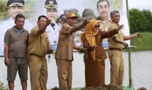 Wabup Lutim Tebar Bibit Rumput Laut Gracilaria di Lakawali Pantai