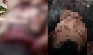 Duel Berdarah di Kebun Kakao Luwu, Dua Pria Luka Parah Ditebas Parang