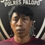 Diduga Lecehkan Pelajar dalam Mobil, Sopir di Palopo Diciduk Polisi